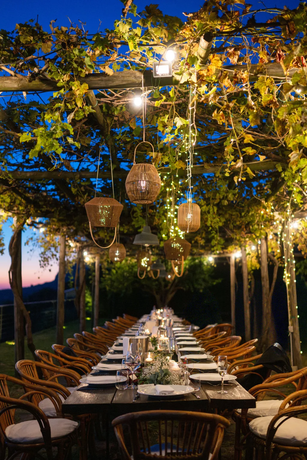 Reception under hanging lights and greenery