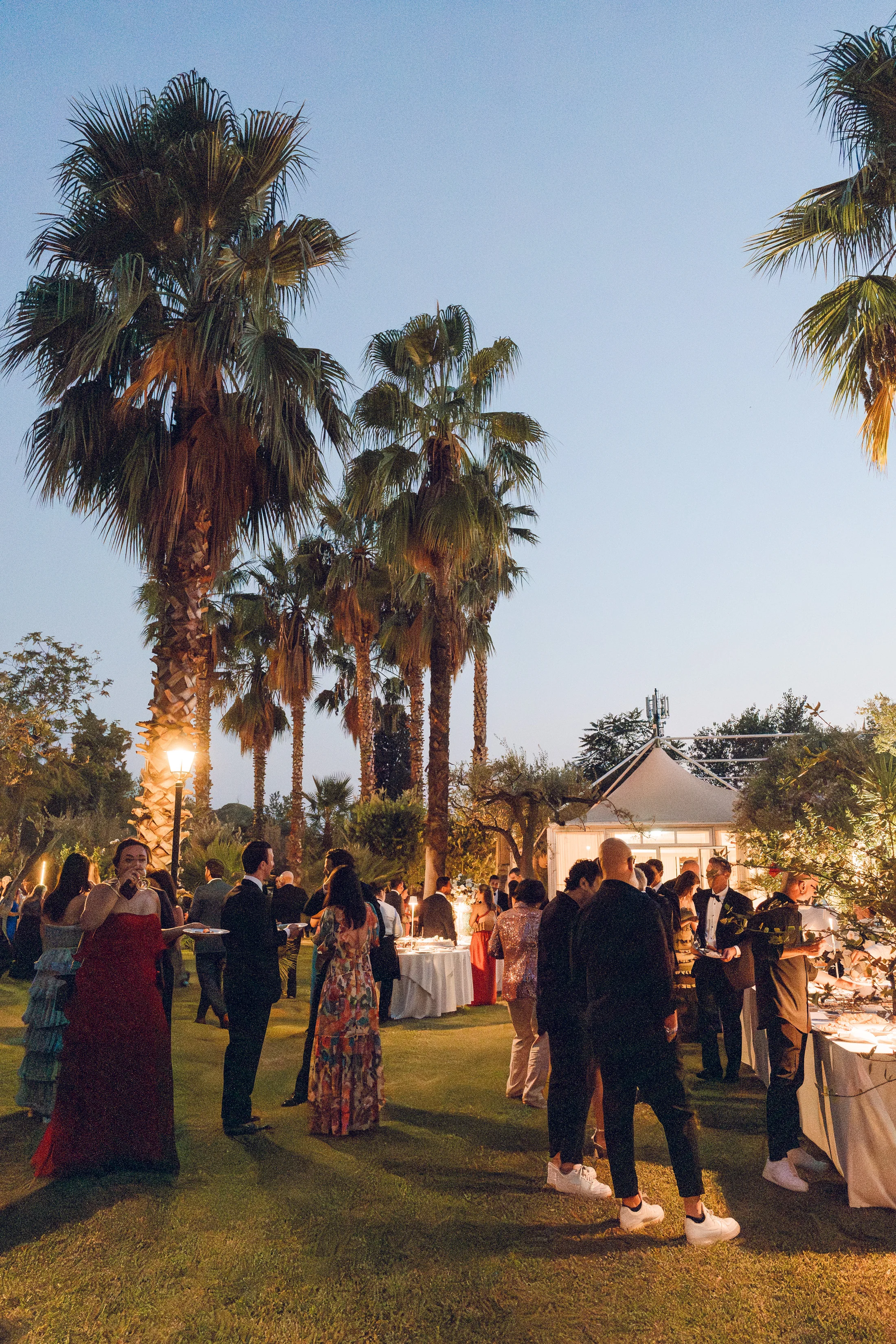 Guests gathering among palm trees at dusk