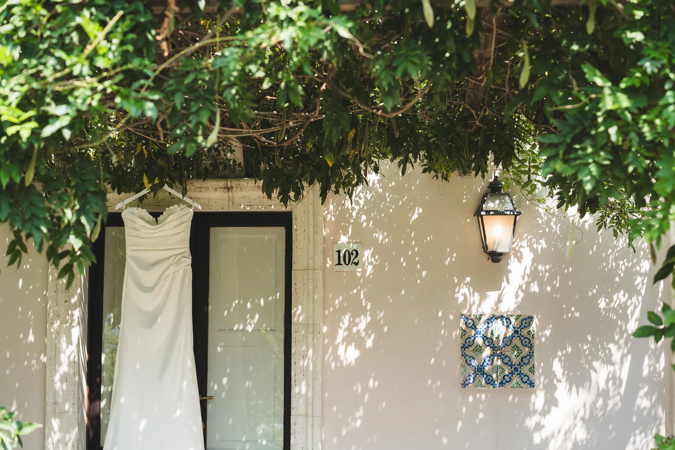 Sunlight and foliage across a doorway